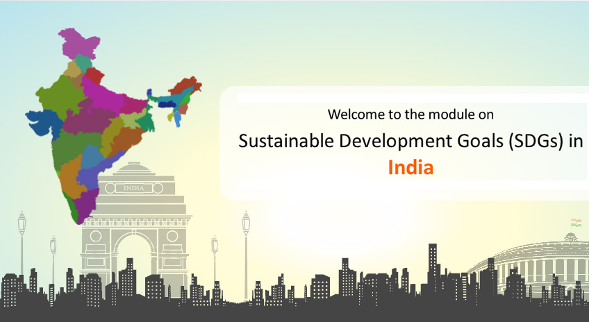 SDG Icon